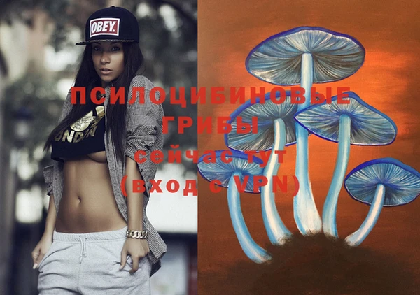 мдпв Армянск